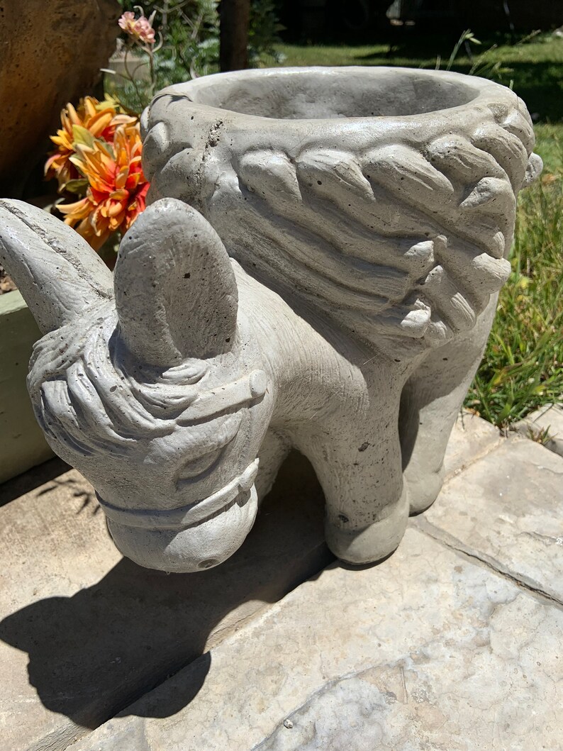 Concrete Donkey Planter Figurines Etsy
