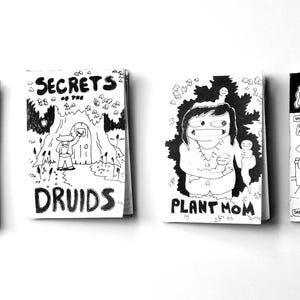 4 Zine Collection