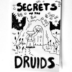 Secrets of the Druids - Zine