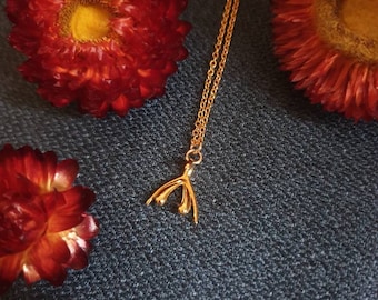 Mini clitoris necklace size S - gold plated with its gold plated chain