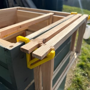 May include: Close-up of a wooden beehive box with yellow plastic corner brackets. The box is made of unfinished wood and has a dark green paint finish.