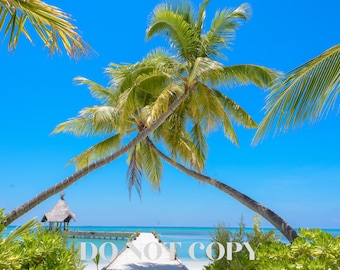 Zoom Fondo virtual / Vista de playa Fondo / Telón de fondo / Facebook / Microsoft Teams / WebEx / Google Meet / Skype