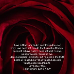 K&ouml;nnte beinhalten: Eine Nahaufnahme einer tief roten Rose mit einem Zitat &uuml;ber die Liebe aus 1 Korinther 13,4-8 NKJV. Das Zitat lautet: "Die Liebe ist geduldig und freundlich; die Liebe eifert nicht, sie prahlt nicht, sie bl&auml;ht sich nicht auf. -Sie handelt nicht unz&uuml;chtig, sie sucht nicht das Ihre, sie l&auml;sst sich nicht reizen, sie tr&auml;gt kein Unrecht nach. -Sie freut sich nicht &uuml;ber die Ungerechtigkeit, sondern freut sich &uuml;ber die Wahrheit. -Sie ertr&auml;gt alles, sie glaubt alles, sie hofft alles, sie erduldet alles. -Die Liebe h&ouml;rt niemals auf. 1 Korinther 13,4-8 NKJV"