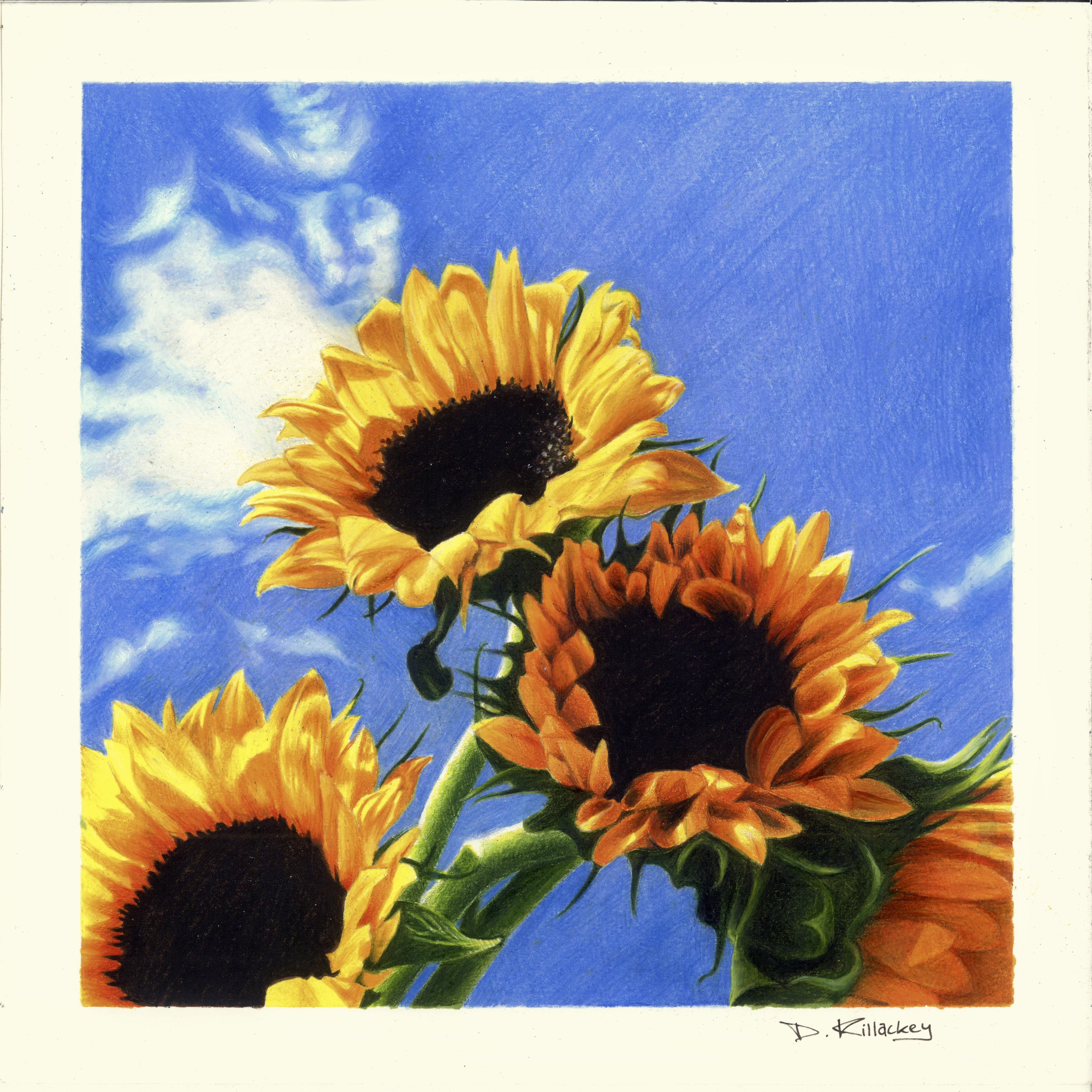 ひまわりの絵の版画 - Etsy 日本