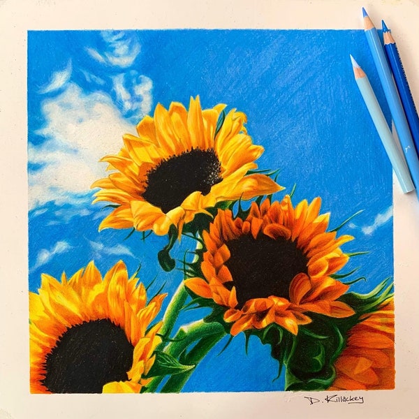 Sunflower Drawing Etsy UK