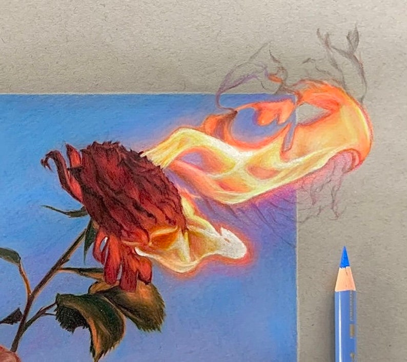 Rose on Fire Drawing Prints Etsy