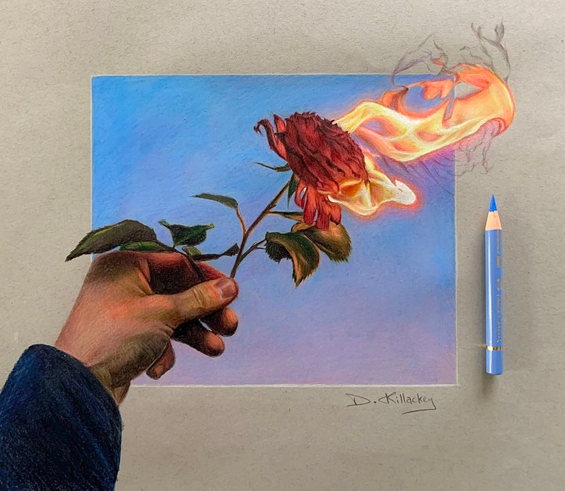 Rose on Fire Drawing Prints Etsy