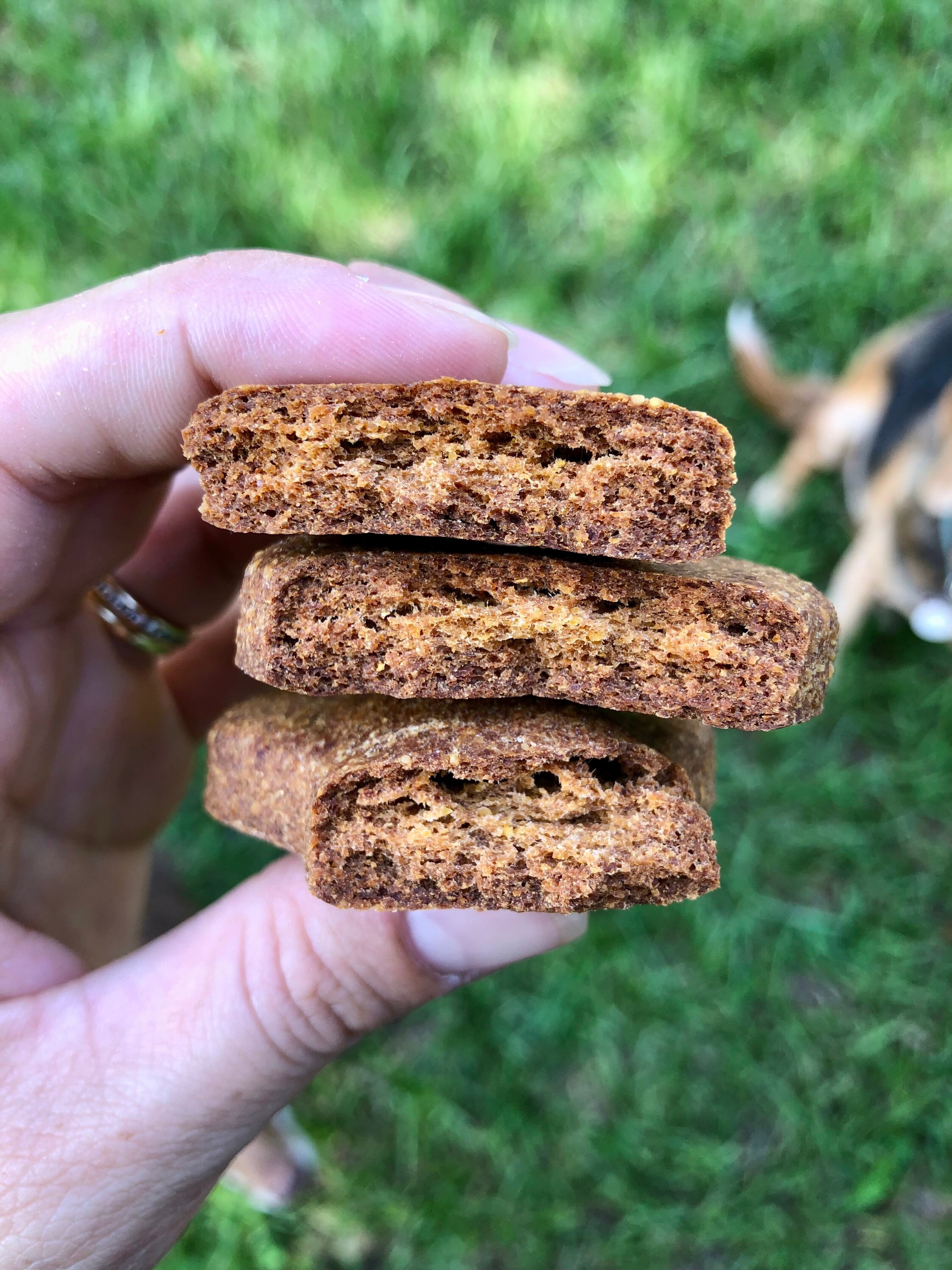 Dog Treats | All Natural | Made with Barbecue Like Flavors | Extra Large