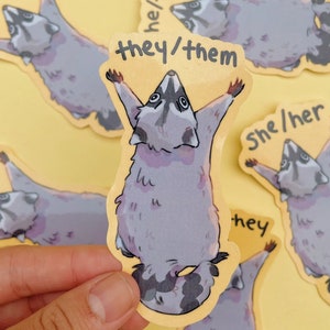 Pronoun Raccoon Stickers | Cute Pride Animal Stickers | Water Resistant Glossy Vinyl Stickers