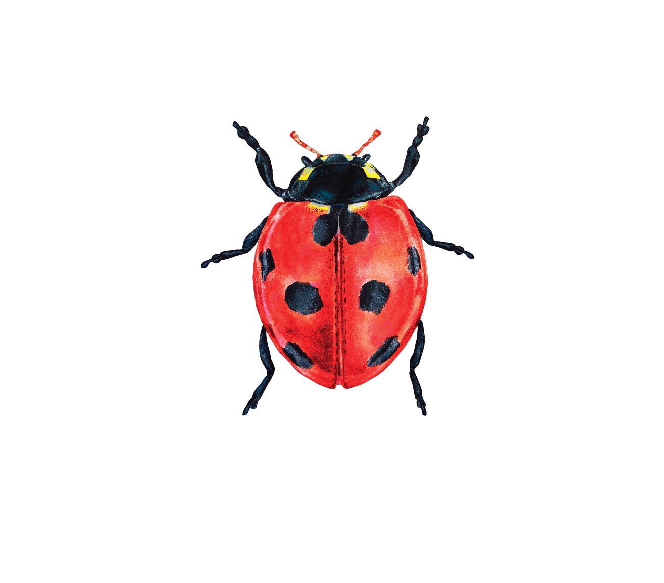Ladybug Decals Premium Fabric Art Car Decal Peel & Stick Etsy