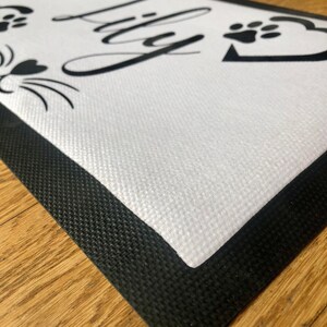 May include: White doormat with a black border and the name "Lily" written in a cursive font.  Two paw prints and a cat face are also printed on the mat.