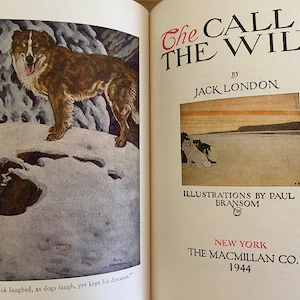 The Call of the Wild by Jack London Vintage Rare Beautifully Illustrated 1944 Edition Book