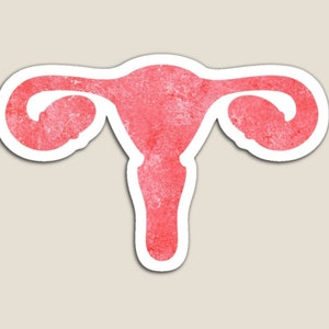 uterus sticker | gynecology sticker | gynecology art | anatomy art | gynecologist gift, obgyn nurse gift | dark pink coral abstract art