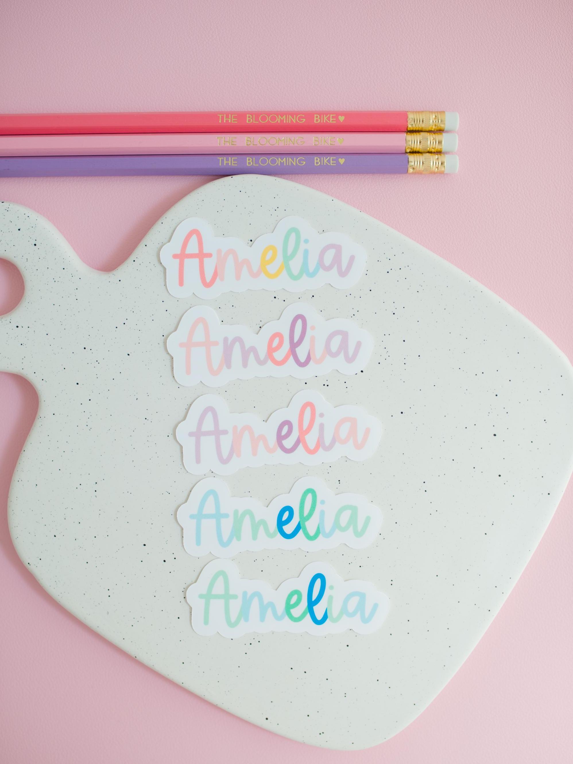 Custom Name Sticker | Personalized Name Label, Gift for Kids Girls Boys ...
