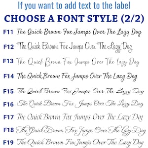 May include: A white chart displaying ten distinct font styles labeled F11 through F20. Each line features the text The Quick Brown Fox Jumps Over The Lazy Dog in a unique typeface. The top includes the blue text OPTIONAL If you want to add text to the label CHOOSE A FONT STYLE (2/2) and a small blue hippo logo.