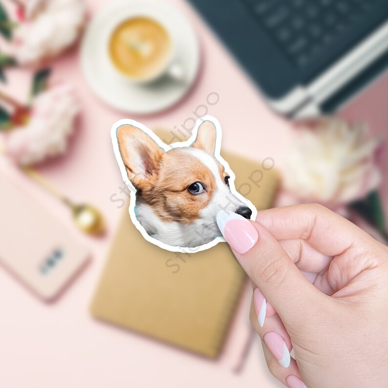 May include: A die-cut sticker featuring the head of a tan and white Corgi dog with large pointed ears, dark eyes, and a black nose. The sticker has a white border and shows the dog looking toward the right side of the frame with a focused expression.