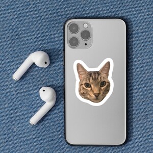 May include: A silver smartphone with a triple-lens camera system and a sticker of a brown tabby cat head on the back, accompanied by two white wireless earbuds. The phone features a sleek metallic finish and a distinct cat portrait sticker.