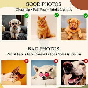May include: An instructional graphic titled GOOD PHOTOS and BAD PHOTOS featuring six animal images. The top row shows three clear pet portraits with green checkmarks. The bottom row shows three obscured or poorly framed pet photos with red X marks.