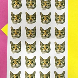 May include: A white sticker sheet featuring twenty-four identical die-cut stickers, each displaying the detailed photographic face of a brown, black, and tan tabby cat with green eyes, arranged in a grid of four columns and six rows.