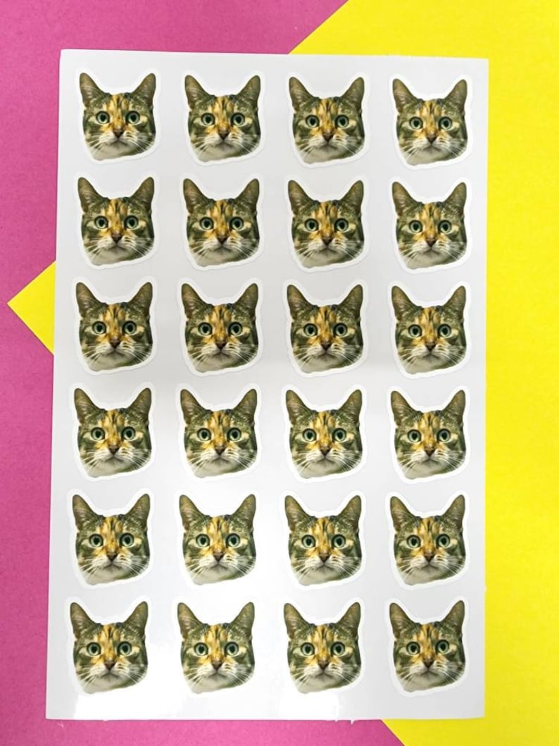 May include: A white sticker sheet featuring twenty-four identical die-cut stickers, each displaying the detailed photographic face of a brown, black, and tan tabby cat with green eyes, arranged in a grid of four columns and six rows.