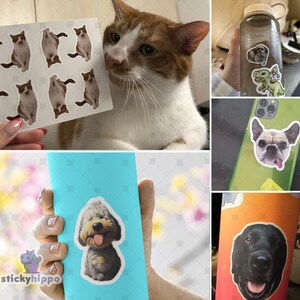 May include: A collection of custom die-cut vinyl stickers featuring various pets, including a white and brown cat, a French bulldog, a fluffy gray dog, and a black Labrador retriever, applied to surfaces like a water bottle, phone case, and notebook.