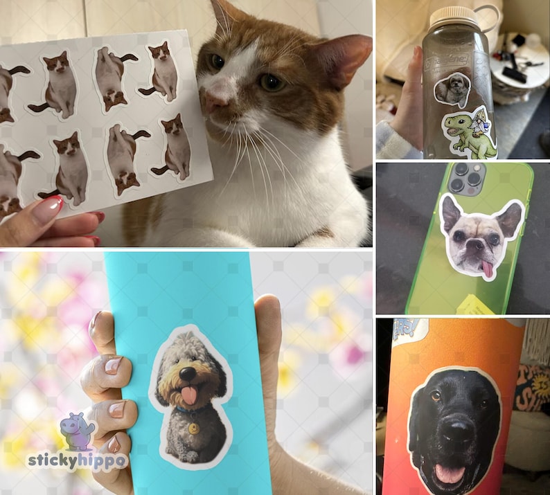 May include: A collection of custom die-cut vinyl stickers featuring various pets, including a white and brown cat, a French bulldog, a fluffy gray dog, and a black Labrador retriever, applied to surfaces like a water bottle, phone case, and notebook.