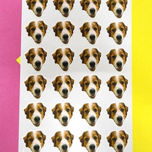 May include: A white sticker sheet featuring twenty-four identical circular stickers, each displaying the face of a brown and white dog with floppy ears, dark eyes, and a black nose, arranged in a grid of six rows and four columns on a white backing.