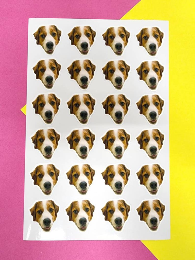 May include: A white sticker sheet featuring twenty-four identical circular stickers, each displaying the face of a brown and white dog with floppy ears, dark eyes, and a black nose, arranged in a grid of six rows and four columns on a white backing.