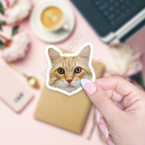 May include: A die-cut vinyl sticker featuring the head of an orange tabby cat with large green eyes, pointed ears, and white whiskers. The sticker has a white border and a realistic photographic print of the feline face looking directly forward.