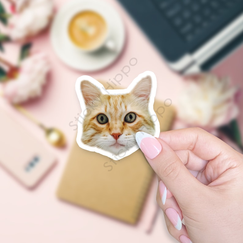 May include: A die-cut vinyl sticker featuring the head of an orange tabby cat with large green eyes, pointed ears, and white whiskers. The sticker has a white border and a realistic photographic print of the feline face looking directly forward.