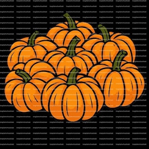 Pumpkin Patch Clip Art PNG - Vektorbund Kürbisse mit transparentem Hintergrund, 300 DPI