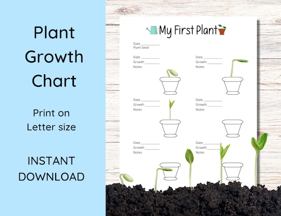 Plant Growth Chart for Kids, First Plant Log, US Letter PDF - Etsy