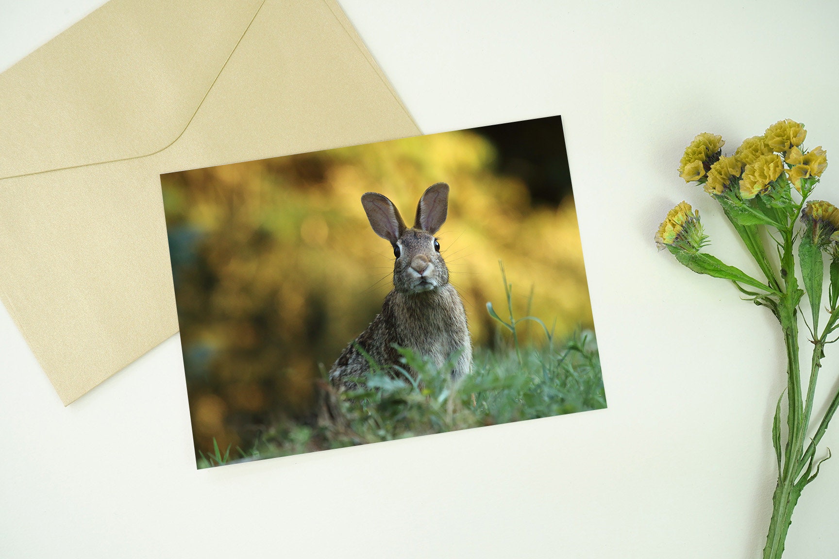 Printable Image: Bunny Instant Download - Etsy