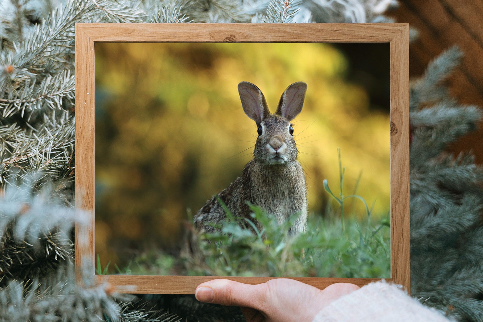 Printable Image: Bunny! | Instant Download - Etsy