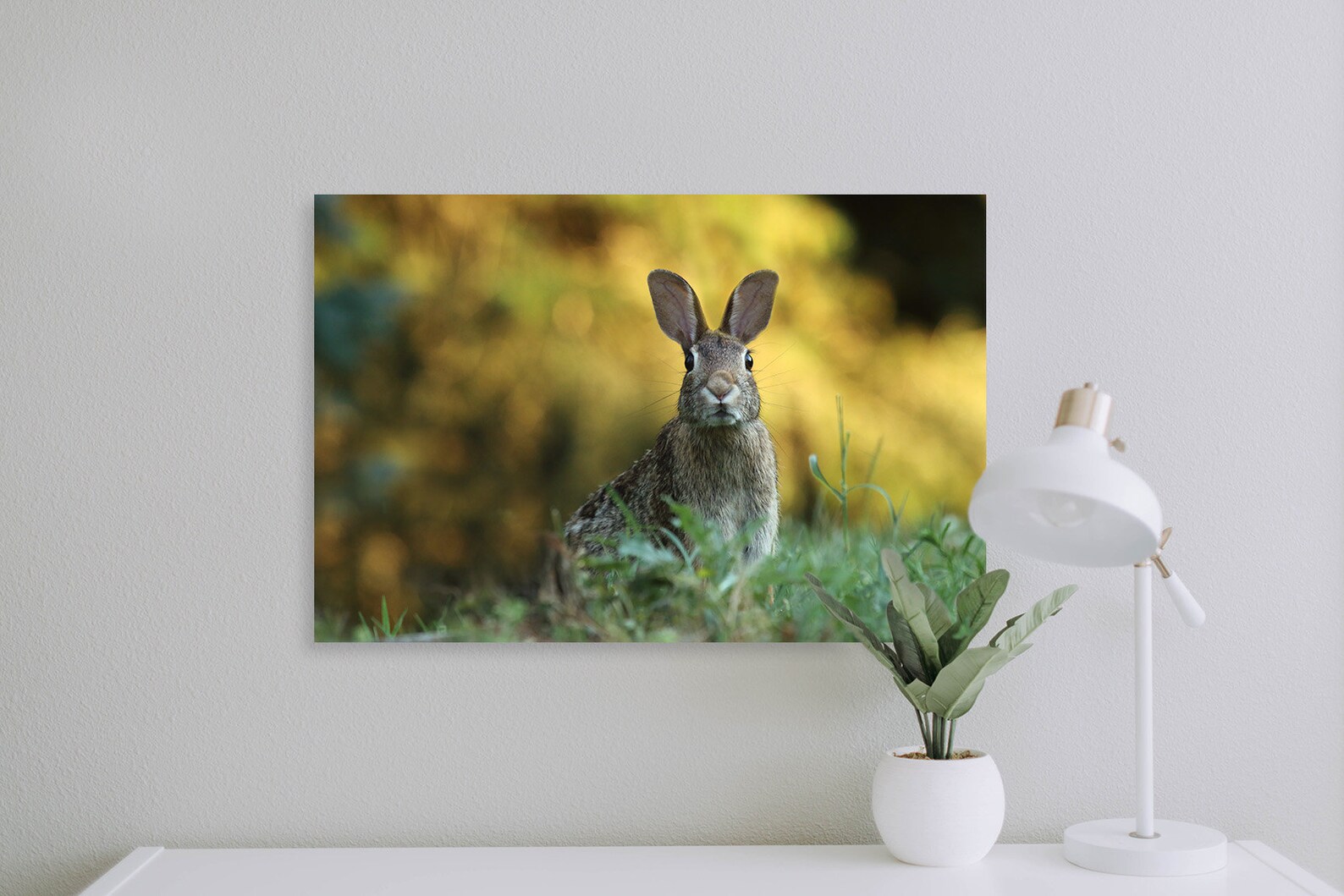 Printable Image: Bunny Instant Download - Etsy