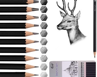 Sketch Pencil Set 12Pcs Professional Drawing Artist Pencils set Drawing Pencils 14B 12B 10B 8B 6B 4B 2B B HB H 2H 4H for Kids and Adults