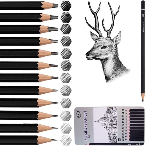 Sketch Pencil Set 12Pcs Professional Drawing Artist Pencils set Drawing Pencils 14B 12B 10B 8B 6B 4B 2B B HB H 2H 4H for Kids and Adults