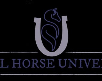 Fun Packs of Gashapon to Benefit Model Horse University