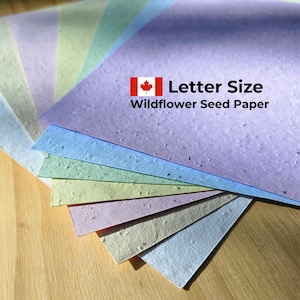 8.5" x 11" Plantable Wildflower Seed Paper Sheets Canada Printer Size Seed Paper Plantable Seed Paper Wildflower Seeded Paper Printer Size