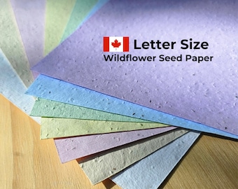 Wildflower Seed Paper Sheets, Plantable Seeded Printer Paper (8.5 x 11)