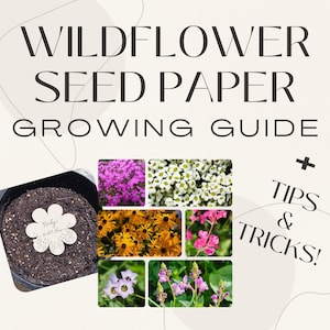 Seed Paper Pflanzliche Anleitung Wildblumen Seed Paper Pflanz Anleitung Wie man Samenpapier pflanzt