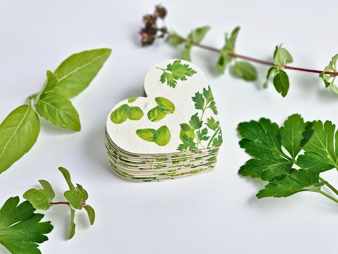 Herb Seed Paper Heart Seed Basil Seed Paper Parsley Seed Paper Etsy