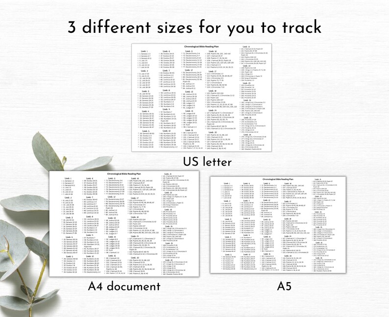 May include: Three different sizes of a printable chronological Bible reading plan. The plan is laid out in a grid format with the book and chapter of the Bible listed for each day. The sizes are US Letter, A4, and A5.
