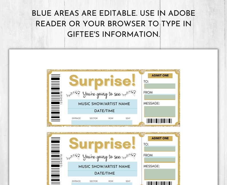 Printable Concert Ticket Template Surprise Concert Gift - Etsy