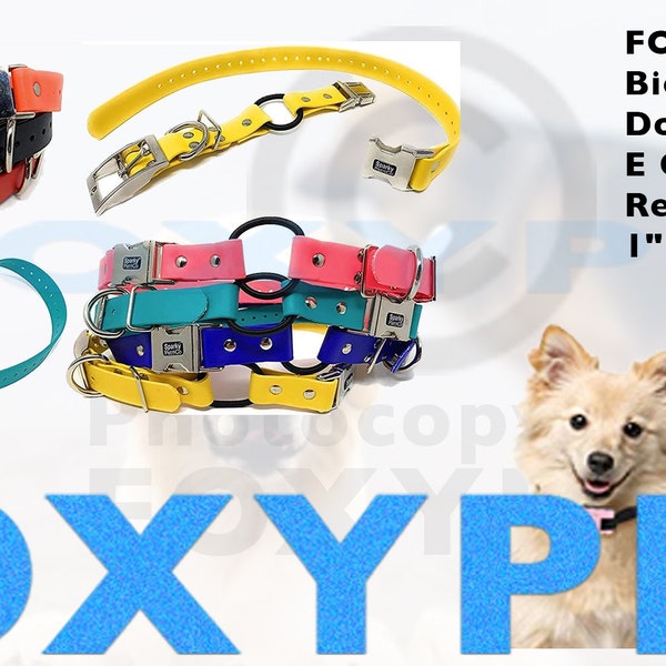 FOXY PET  1" Zeus Biothane Bungee Double Buckle E Collar Receiver Replacement Strap- 1" X 30" - 7 Colors