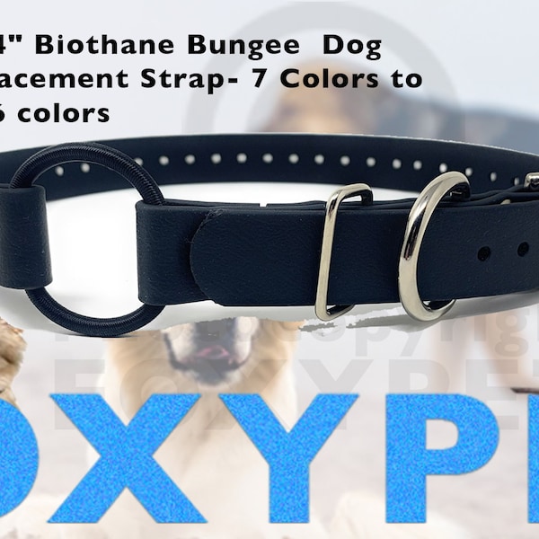 FOXY PET 3/4" Biothane Bungee Titan Dog Receiver Replacement Strap- 7 Colors to Choose from 6 colors