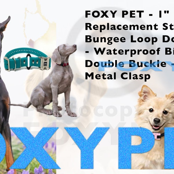 FOXY PET - 1" Zeus E Collar Replacement Strap - Bungee Loop Dog Collar - Waterproof Biothane - Double Buckle - Quick Snap Metal Clasp