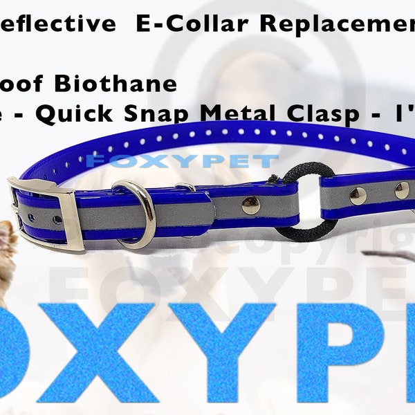 Kiwi Pet Co - Reflective  Zeus ECollar Replacement Strap Bungee Loop Waterproof Biothane Double Buckle - Quick Snap Metal Clasp - 1"x 30"