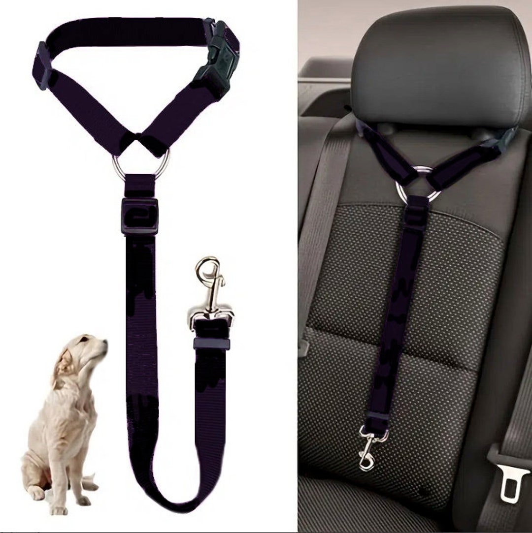 Solid Color 2 in 1 Pet Car Seat Belt Nylon Lead Leash Backseat Safety Belt Adjustable for Dog