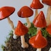 see more listings in the CHAMPIGNONS section